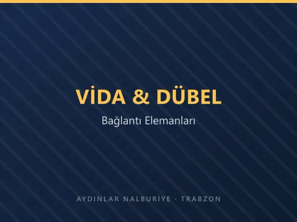 Çeşitli boy ve tiplerde vida ve dübeller